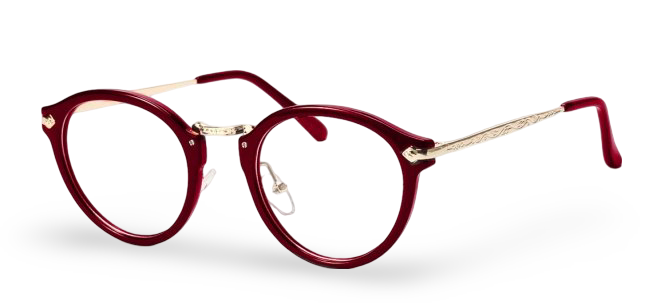 Vision Icon